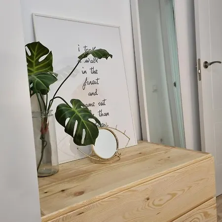 607a - Apartamento 2 Moderno Appartamento Oviedo